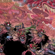 Illustration for article titled Read a preview of emOrc Stain/em, the best-looking fantasy comic being published